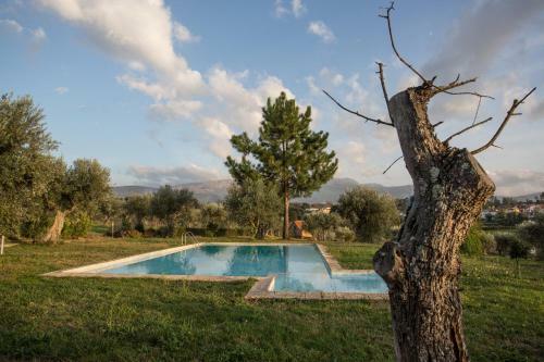 Agroturismo Quinta Do Ch�o Da Vinha
