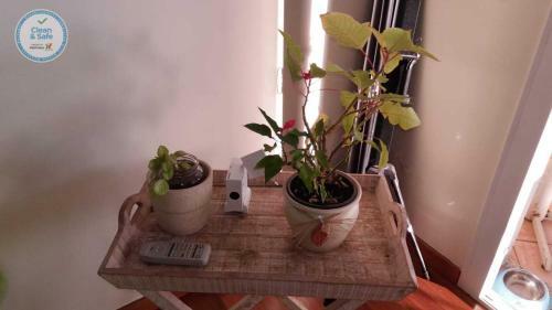 Apartamento Jade