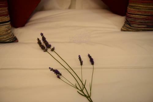 Hotel The Lodge - Herdade Do Zambujal