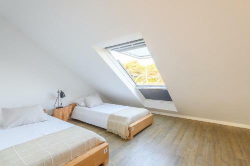 Albergue Lapoint Surf Camp Ericeira