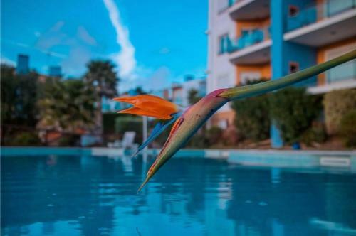 Apartamento Akisol Ericeira Green