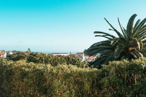 Villa Medeiros