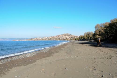 Molyvos Queen Apartments