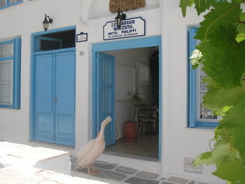Hotel Philippi