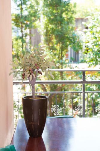 Apartamento Villa Edem Dimitriadis