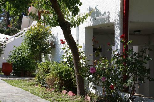 Apartamento Betahomes- Summer