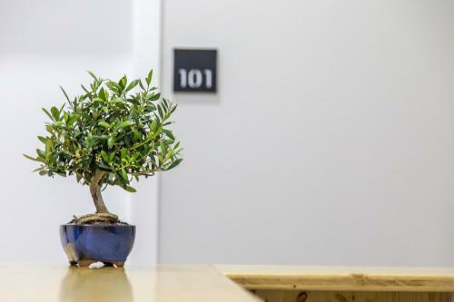 Indouro Hostel & Wine Bar