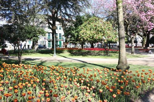 Apartamento Oporto Invite S�o L�zaro Studio - City Center