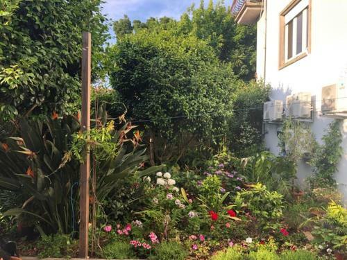 Hostal Guest House Alma Peregrina