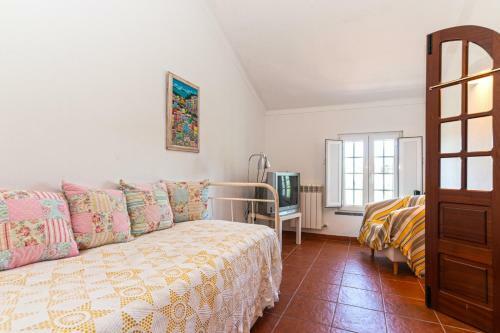 Cerca Velha Alentejo House