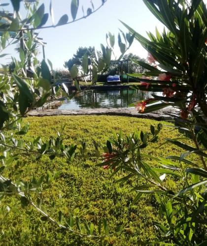 Homestead Near Lagoa de Santo Andr�
