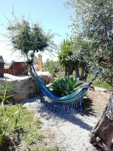 Homestead Near Lagoa de Santo Andr�