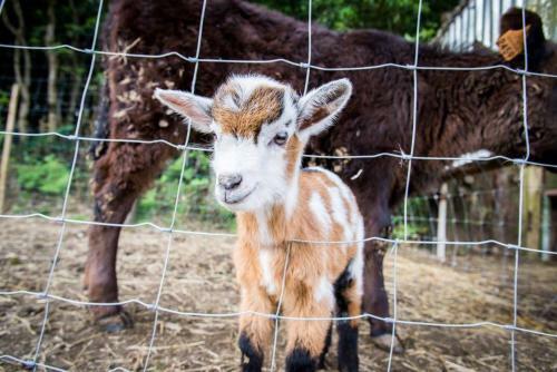 Agroturismo Sete Cidades Quinta Da Queir�