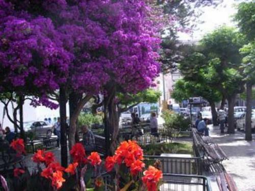 Posada L� Em Cima
