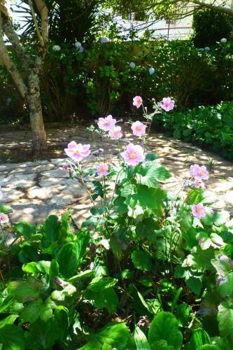 Bed & Breakfast Comfy Sintra