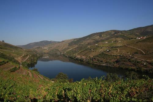Bed & Breakfast Casa Da Piscina, Quinta Do Espinho, Douro Valley