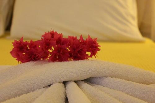 Hostal Morpheas Pension Rooms & Apartments