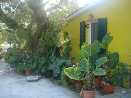 Apartamento Villa Theodora