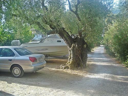 Apartamento Villa Theodora