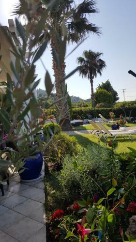 Apartamento Sun Residence