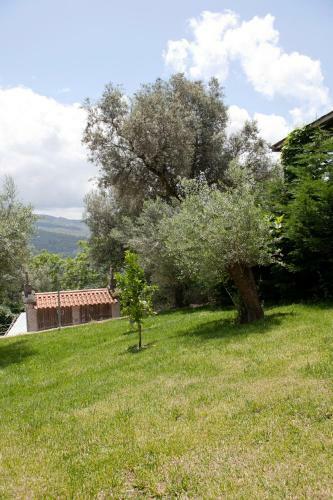 Villa Gondoriz-house