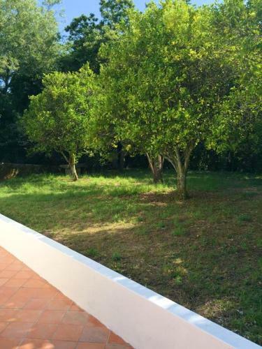 Villa With 6 Bedrooms In Valenca With Private Pool And Wifi