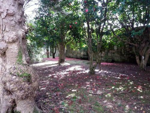 Casa Com Piscina Privada Em Valen�a By Izibookings