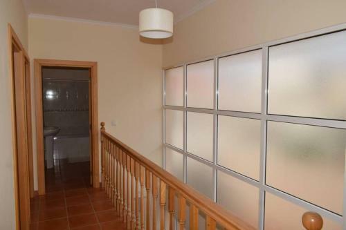 O Dragoeiro Da Madalena!