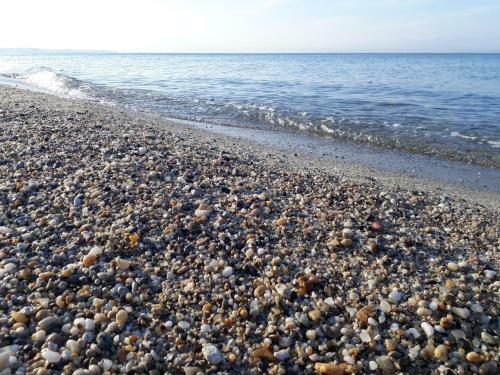 Nefeli Apartments Halkidiki
