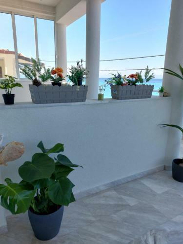 Nefeli Apartments Halkidiki