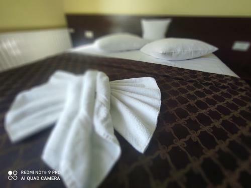Hostal Pensiunea Tomis
