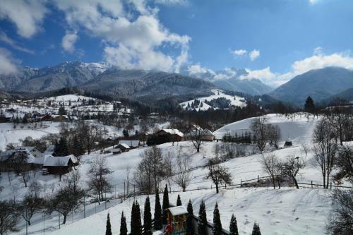 Hostal Pensiunea Antonia