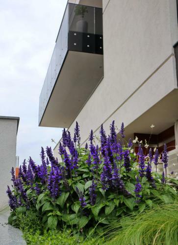 Apartamento Uparthotel