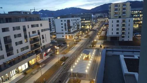 Apartament Camelia