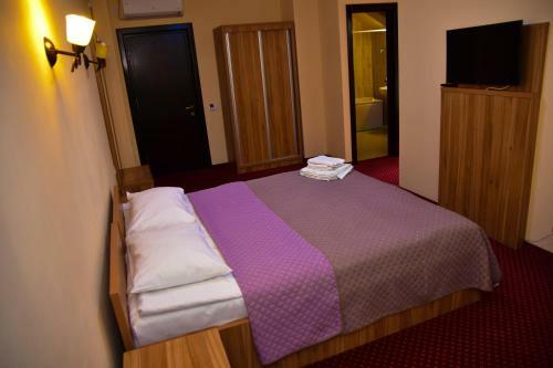 Hostal Pensiunea Bucura