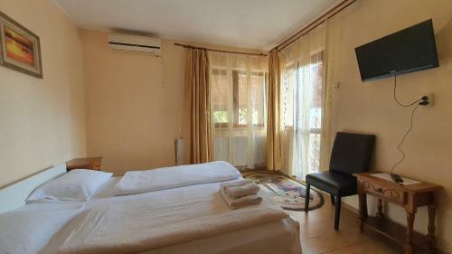 Hostal Pensiunea Sidonia