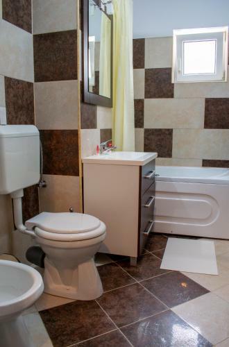 Apartament Alessi Bu?teni