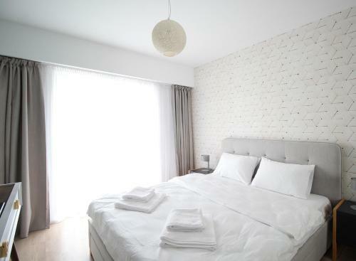 Cluj Lux Apartment Scala Center