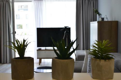 Cluj Lux Apartment Scala Center