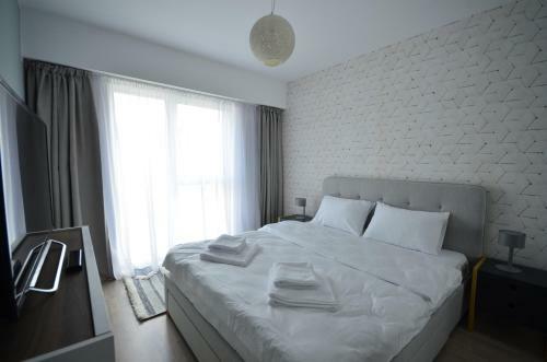 Cluj Lux Apartment Scala Center