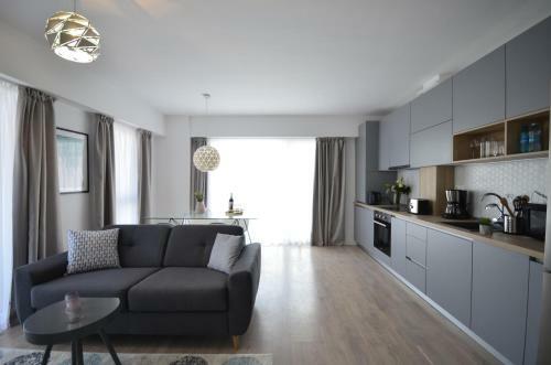 Cluj Lux Apartment Scala Center