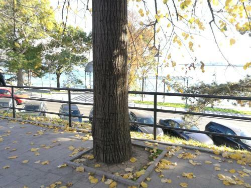 Apartament Cazinou