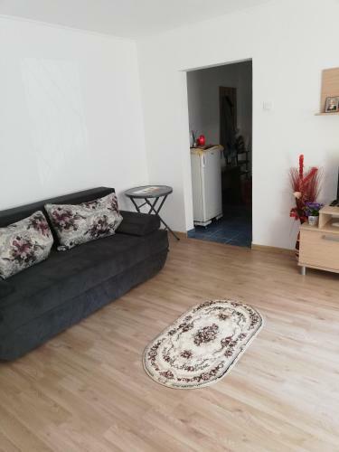 Apartament Julian Mamaia