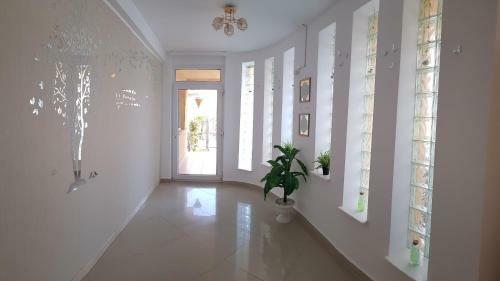 Hostal Summer Rain Mamaia Nord