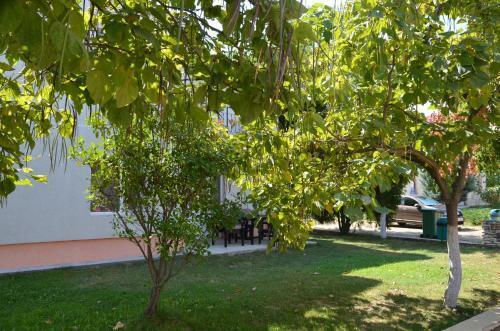Villa No. 24