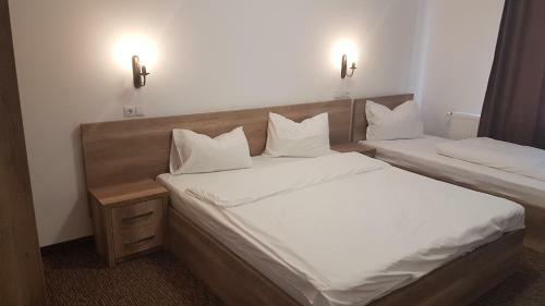 Hotel Pensiunea Catalina