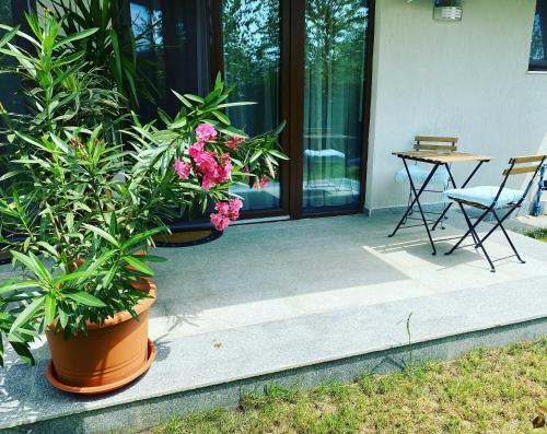 Apartamento Aviator Boutique Residence