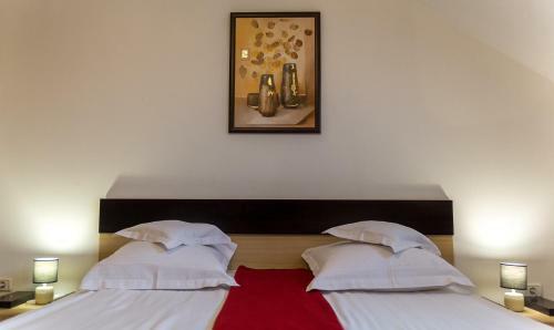 Hostal Pensiunea Komodo