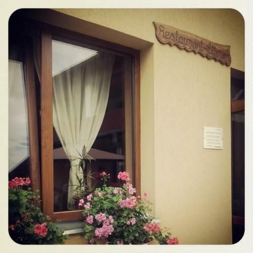 Hostal Pensiunea Medveh�z