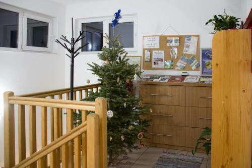 Hostal S�vid�k Guesthouse